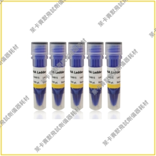 50bp/100bp/250bp/1kb DNA Ladder独特研发技术/条带精准带型清晰