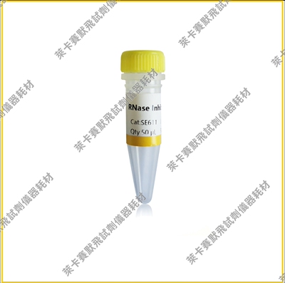RNase Inhibitor，重组鼠源RNase抑制剂，高抗氧化活性和热稳定性