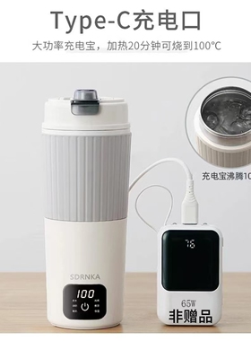 便携式烧水壶旅行烧水杯小型保温杯热水壶车载电热水杯养生壶煮粥