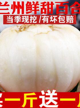 兰百州然鲜甜百产合500g纯合新鲜食用白合甘肃TAY特天非干货特级