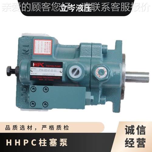 P08-A2-F-R-01 P22-A2-F-R-01 P36-A2-F-R -01 柱塞泵