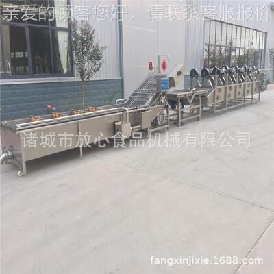 蔬菜清洗 机 气式高喷淋清洗泡压机多少钱厂家直销FX-600价格