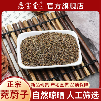 悉宝堂精选茺蔚子中药材