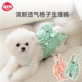 生理裤 防交配泰迪宠物小型犬 母狗狗女月经姨妈期卫生巾防孕安全裤