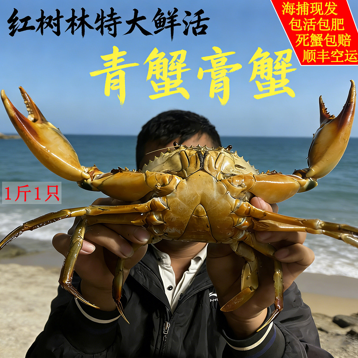 鲜活特大红树林大青蟹肉蟹海蟹红鲟菜鲟和乐蟹蝤蠓海捕野生大公蟹