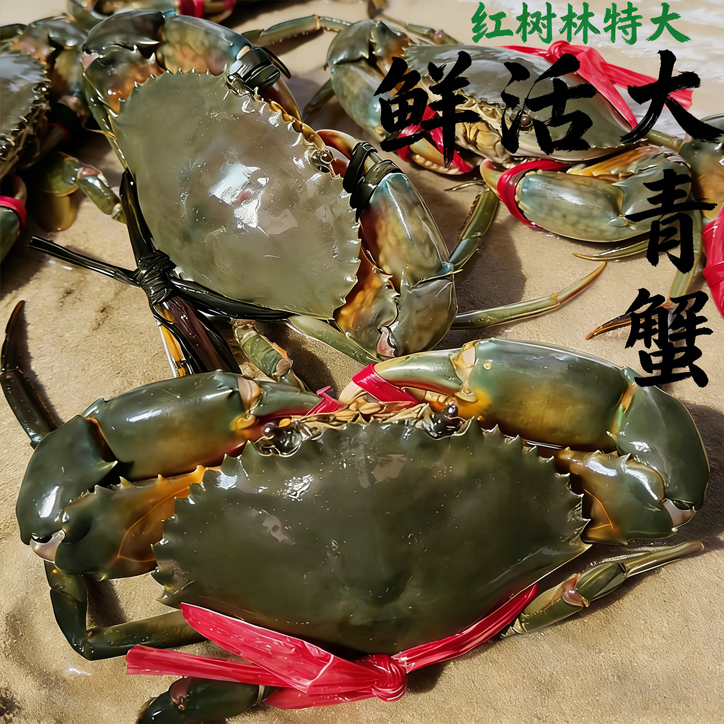 红树林野生鲜活特大青蟹公蟹海鲜水产螃蟹生鲜红鲟蝤蛑和乐蟹3斤