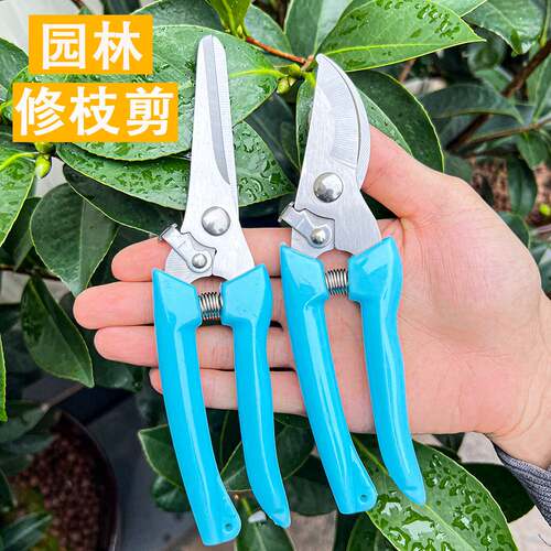 园林花剪园艺剪刀修枝摘果剪强力剪子不锈钢修枝剪多功能园林工具