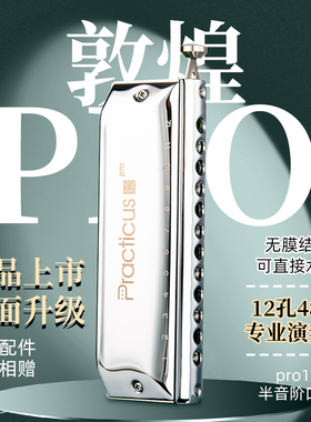 敦煌练习Pro12孔半音阶口琴正品无膜可水洗C调初学入门专业演奏琴