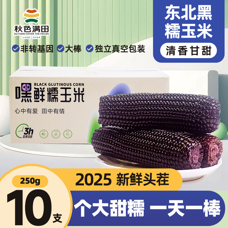 黑糯玉米东北黑玉米真空装2025新鲜加热即食甜糯大棒苞米香粘玉米
