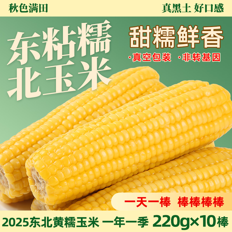 2025东北真空黄糯玉米软糯香甜