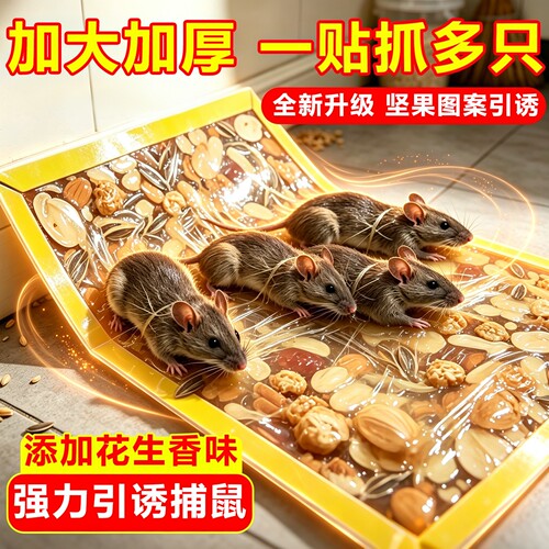 老鼠贴强力粘鼠板胶粘大老鼠家用黏捉抓灭除捕鼠老鼠加大号正品
