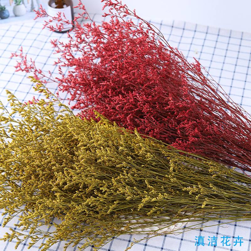 云南永生保鲜花情人草花束家居室内装饰摆件120g干花diy生日送礼