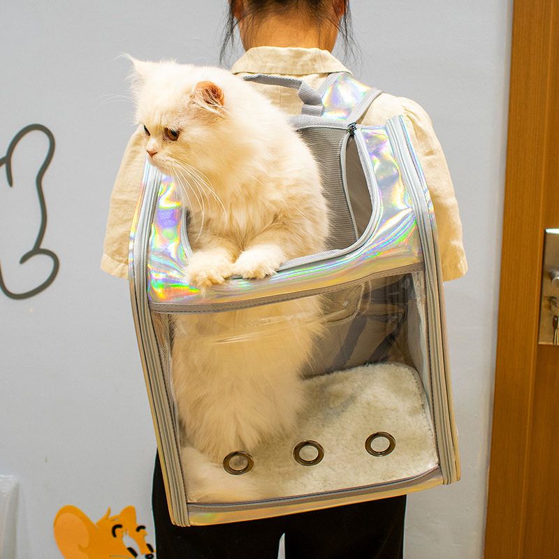 宠物猫包双肩大容量透明