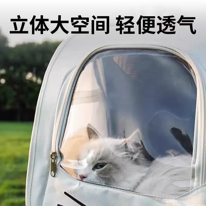 猫包外出双肩背包四季通