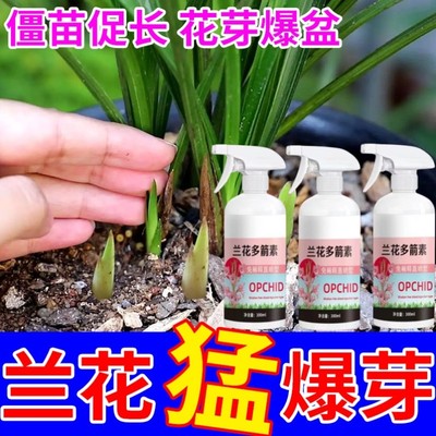 兰花多箭素兰花专用营养液催花箭延长花期催化促花治黄叶通用