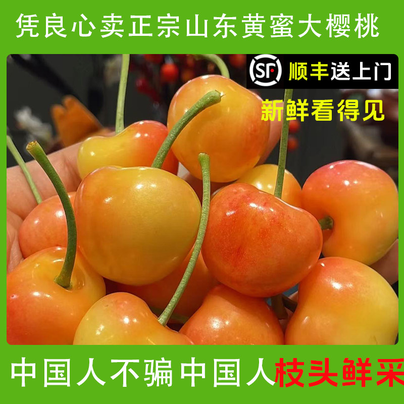 山东黄蜜大樱桃烟台黄水晶樱桃黄樱桃露天黄金雷尼黄色车厘子新鲜