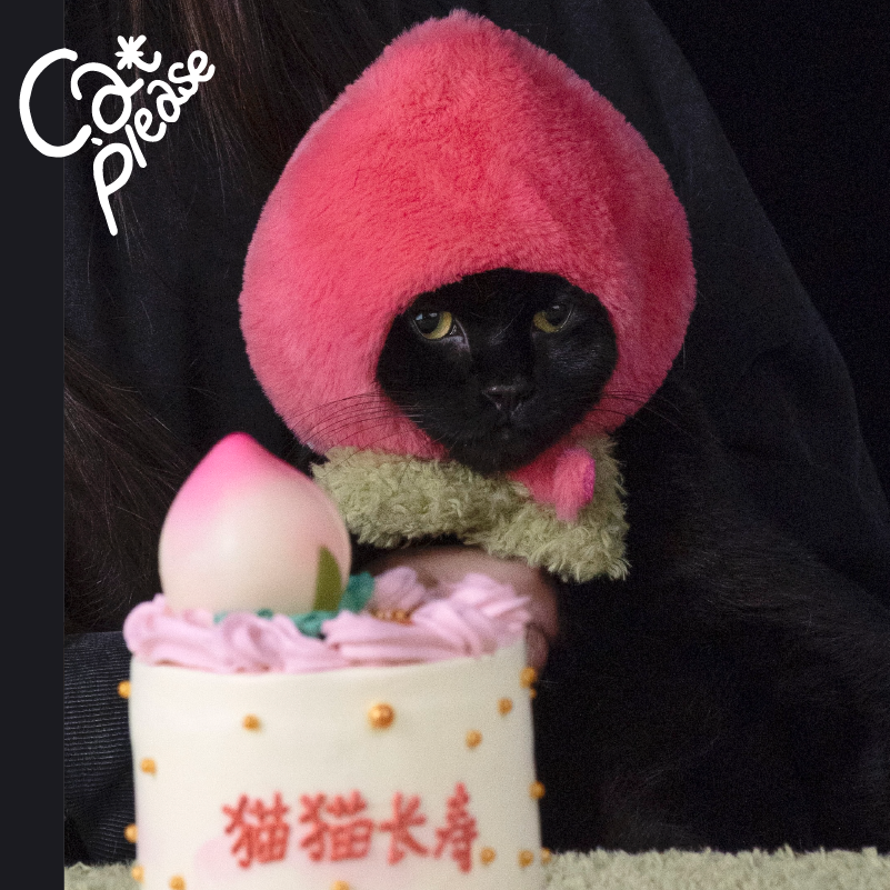 头套生日成幼猫可爱拍照保护圈