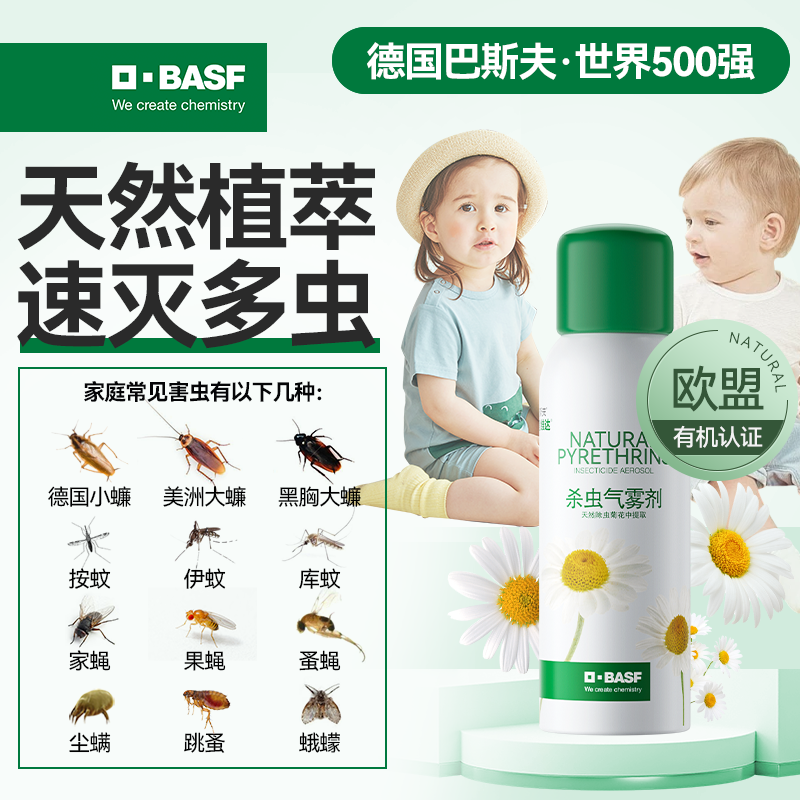 巴斯夫除虫菊杀虫剂送除虫菊种子