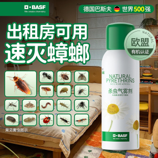 非全窝端非无毒 巴斯夫除虫菊出租房灭杀蟑螂药气雾剂神器官方正品