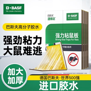 巴斯夫粘鼠板强力胶大老鼠贴扑捉器专抓逮捕灭聪明鼠神器超家用药