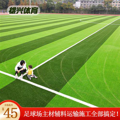 人造草坪足球场塑料环保草皮体育场免填充学校5厘米3cm五人制人工