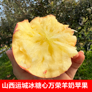 羊奶苹果山西运城万荣红富士水果新鲜冰糖心整箱平果临猗条纹2025