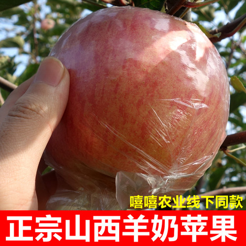 嘻嘻农业线下同款羊奶苹果
