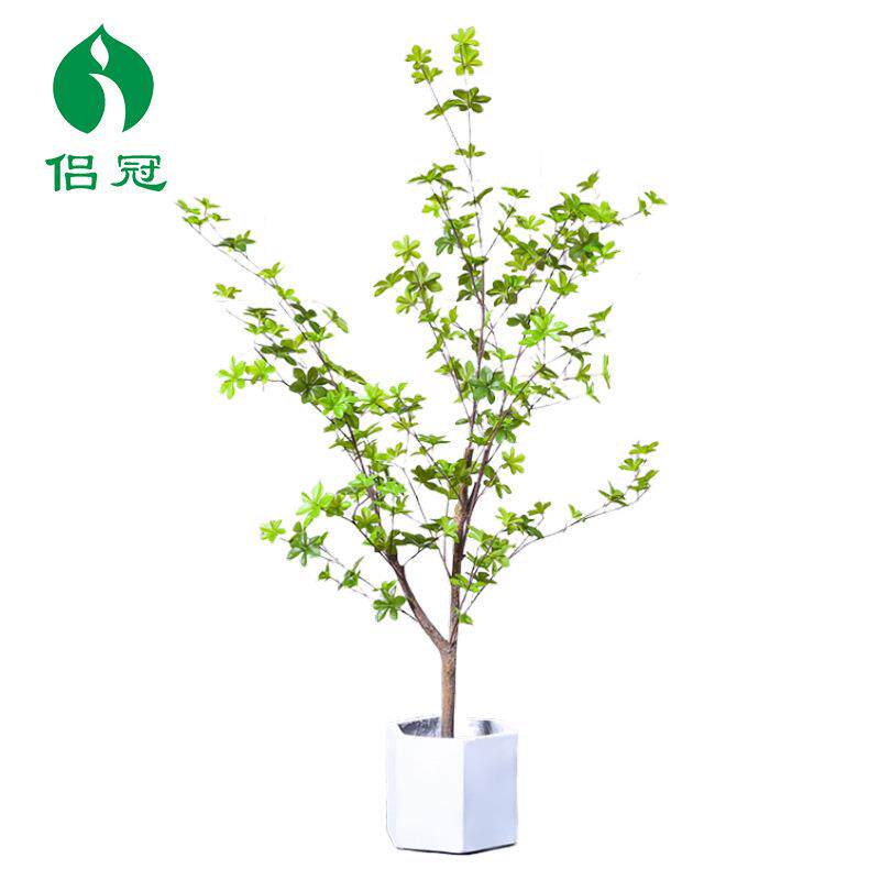 北欧仿真日本吊钟马醉木仿真植物大型绿植盆栽客厅室内服装店装饰