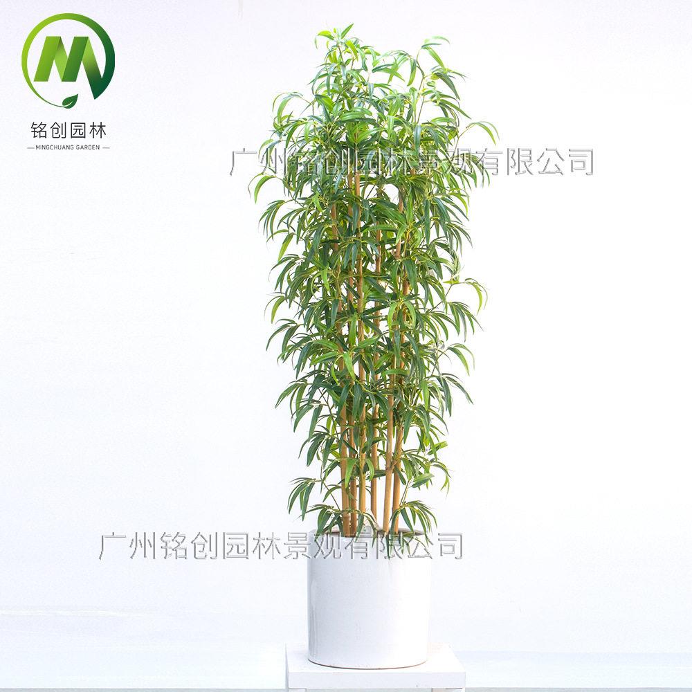 仿真绿植造景假竹子仿真盆栽仿真植物假绿植景观用仿真竹子盆景