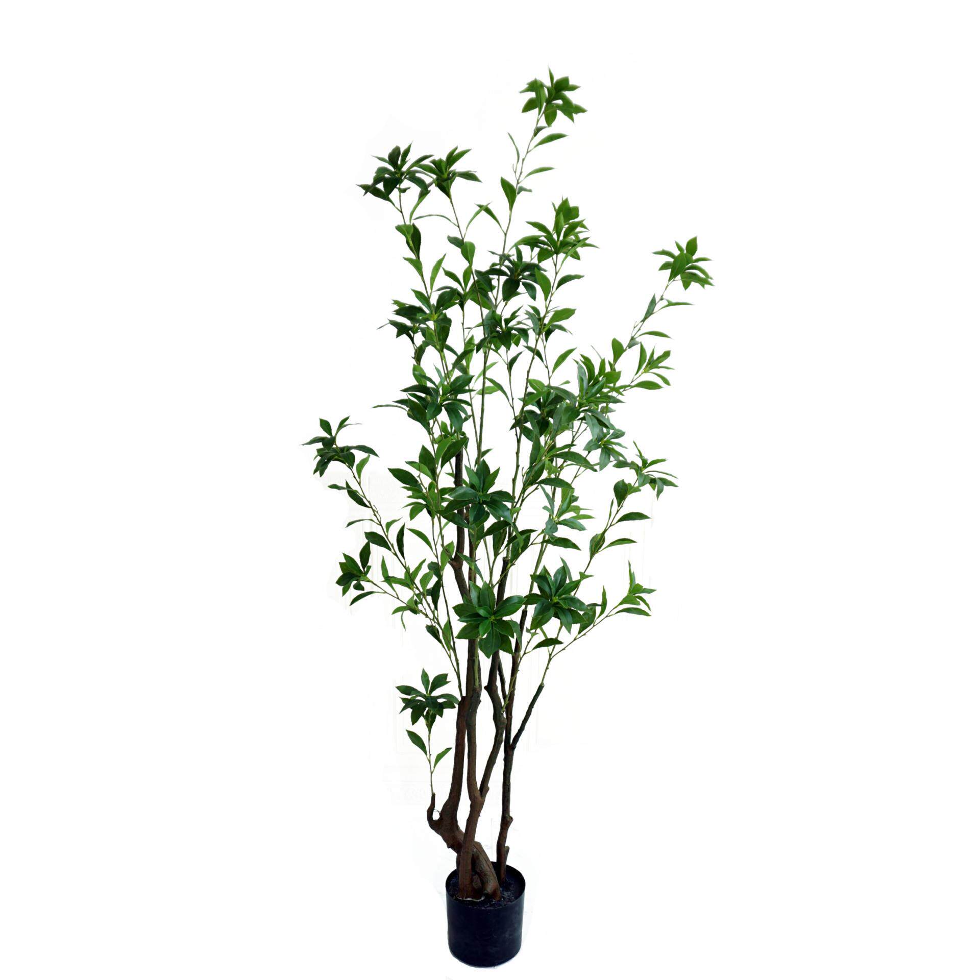 大型北欧仿真植物马醉木室内装饰假盆栽散尾葵绿植客厅落地摆件树