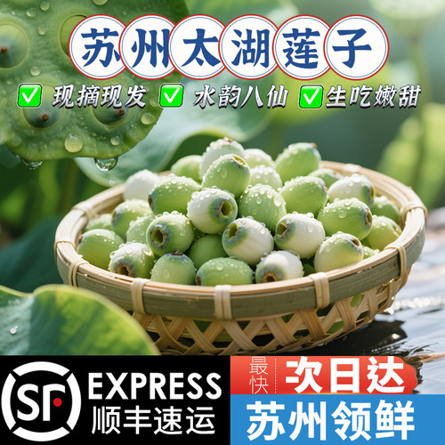 【现货】苏州太湖新鲜手剥嫩莲子