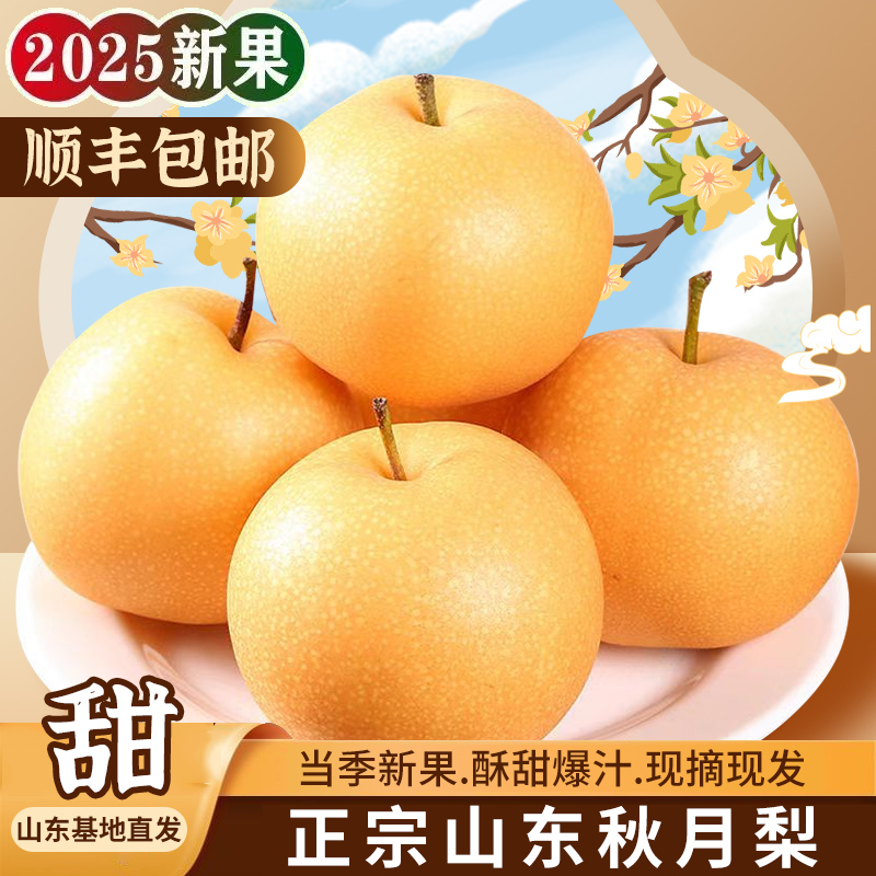 正宗秋月梨新鲜水果当季现摘现发脆甜多汁冰糖甜雪蜜梨中秋礼盒