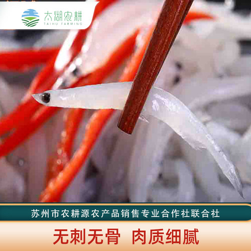 宝宝辅食银鱼太湖农耕