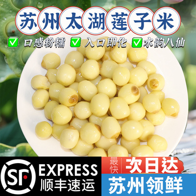 太湖农耕新鲜冰鲜嫩莲子米生吃莲蓬头现剥生莲米当季蔬菜煲汤