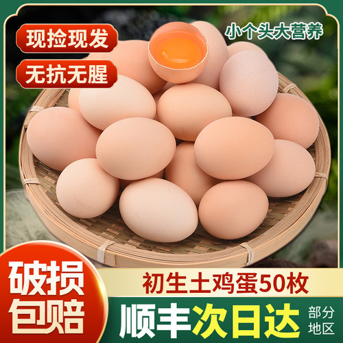 苏州太湖农耕正宗新鲜谷物初生蛋