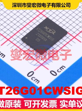XT26G01CWSIGA WSON-8(6x8) 1Gbit NAND FLASH存储器芯片IC