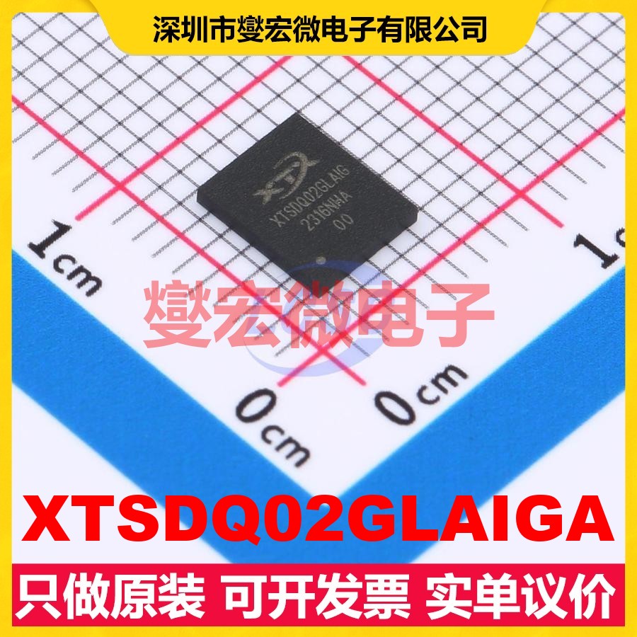 XTSDQ02GLAIGA LGA-8(6x5) NAND FLASH存储器芯片IC