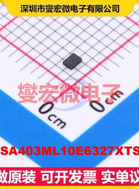 BGSA403ML10E6327XTSA1 TSLP-10 射频开关芯片IC