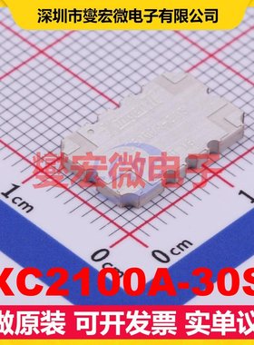 XC2100A-30S SMD-4P 1.805GHz~2.3GHz 120W 30dB 射频耦合器芯片