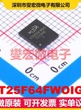 XT25F64FWOIGT WSON-8-EP(5x6) NOR FLASH存储器芯片IC