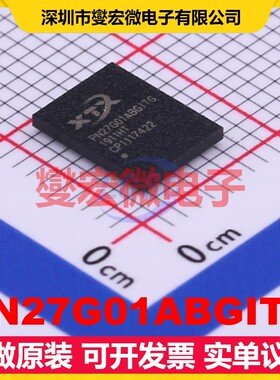 PN27G01ABGITG BGA-24(6x8) 1Gbit NAND FLASH存储器芯片IC