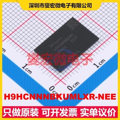 H9HCNNNBKUMLXR-NEE FBGA-200(10x15) 内存颗粒芯片IC