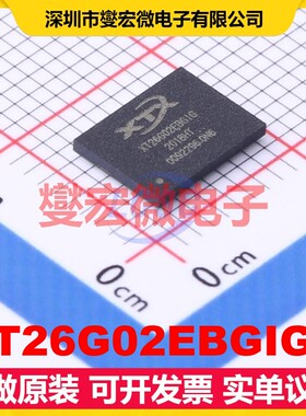 XT26G02EBGIGA BGA-24(6x8) 2Gbit NAND FLASH存储器芯片IC