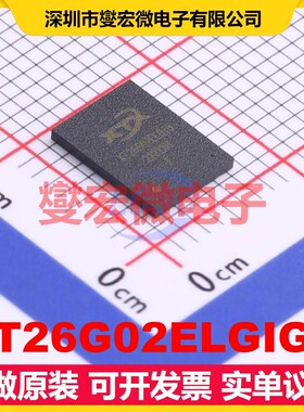 XT26G02ELGIGA LGA-8(6x8) 2Gbit NAND FLASH存储器芯片IC