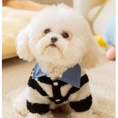 2025新款条纹秋冬季保暖衬衫博美泰迪可牵引猫小狗两脚衣宠物衣服
