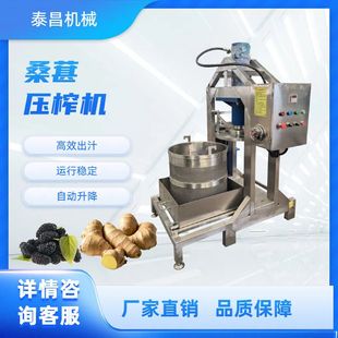 商用桑葚果汁压榨机大型桑椹子饮料技工设备全自动桑葚汁压汁机器