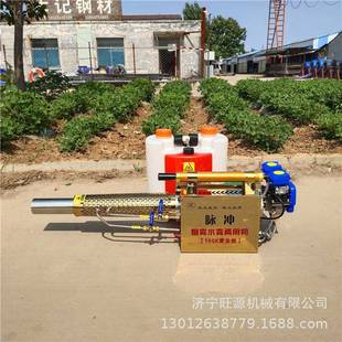 电启动消毒弥雾机 果园烟雾杀虫机 手提脉冲弥雾机