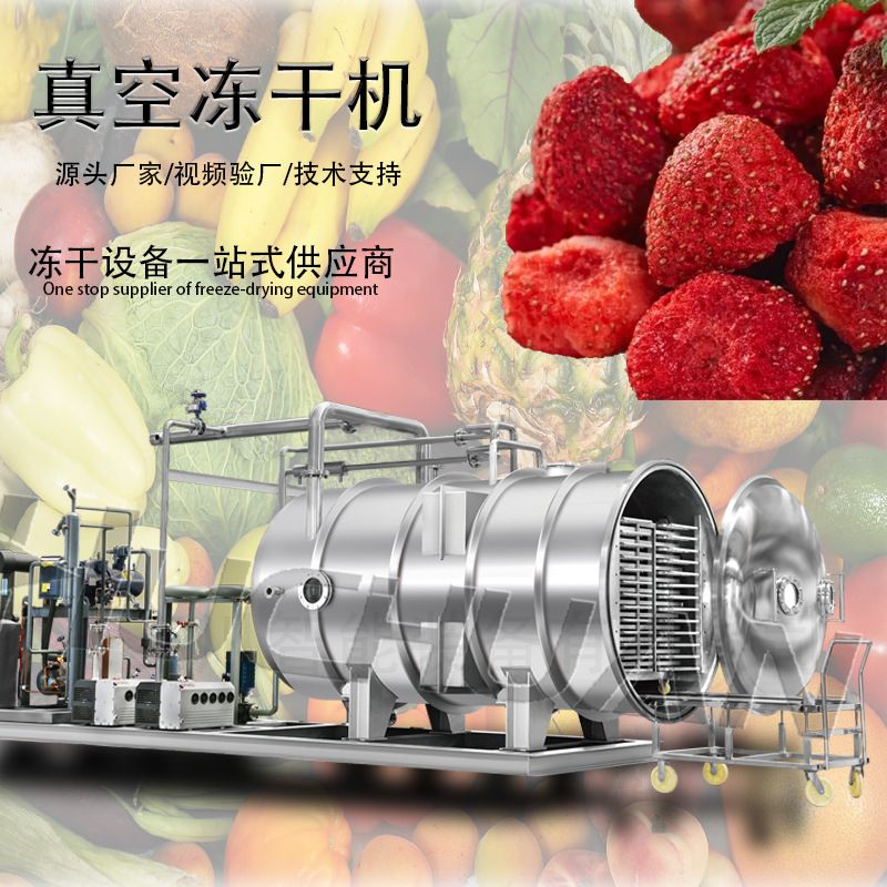 厂家食品冻干机商用果蔬大蒜低温真空冷冻干燥设备葱花真空冻干机