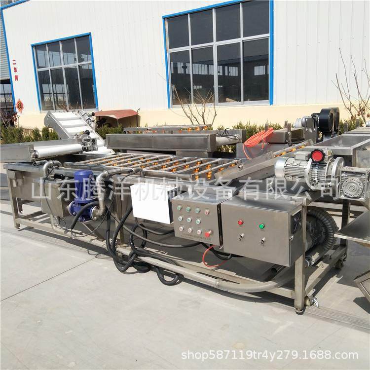 瓜果蔬菜气泡清洗机 不锈钢果蔬气泡清洗机 净菜加工气泡清洗机,机械设备,消毒灭菌设备,淘宝优惠券,粉丝福利购,淘宝优惠卷