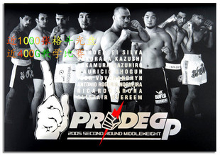 国外MMA\地面柔术\格雷西柔术\自由搏击\踢拳\泰拳\视频